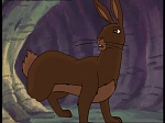 Watership Down : Challenge to Efrafa picture