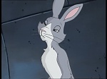 Watership Down : Challenge to Efrafa picture