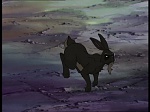 Watership Down : Escape from Efrafa picture