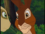Watership Down : Escape from Efrafa picture