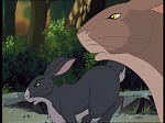 Watership Down : Escape from Efrafa picture
