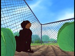 Watership Down : A tale of a mouse picture