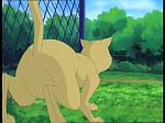 Watership Down : A tale of a mouse picture