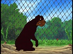 Watership Down : A tale of a mouse picture
