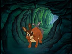 Watership Down : Lost picture