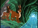 Watership Down : Lost picture