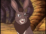 Watership Down : Friend and Enemy picture