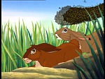Watership Down : Friend and Enemy picture