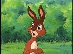 Watership Down : Friend and Enemy picture