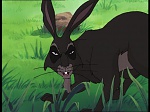Watership Down : Friend and Enemy picture