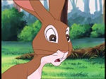 Watership Down : Friend and Enemy picture