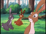 Watership Down : Friend and Enemy picture