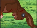 Watership Down : Friend and Enemy picture