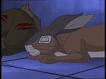 Watership Down : Friend and Enemy picture