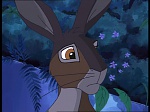 Watership Down : Friend and Enemy picture