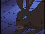 Watership Down : Friend and Enemy picture