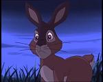 Watership Down : Friend and Enemy picture