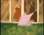 Watership Down : Friend and Enemy picture