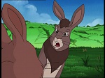 Watership Down : The vision picture