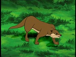 Watership Down : The vision picture