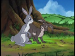 Watership Down : The vision picture