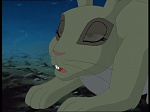 Watership Down : The vision picture