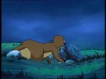 Watership Down : The vision picture