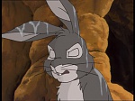 Watership Down : Kidnapped picture