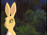 Watership Down : Kidnapped picture