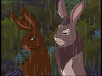 Watership Down : Kidnapped picture