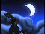 Watership Down : Prisoner of Efrafa picture