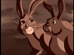 Watership Down : Prisoner of Efrafa picture
