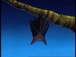 Watership down (TV) picture