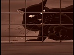 Watership down (TV) picture