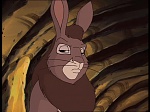 Watership Down : Prisoner of Efrafa picture