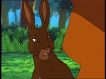 Watership Down : Prisoner of Efrafa picture