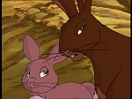 Watership Down : Prisoner of Efrafa picture