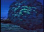 Watership Down : Prisoner of Efrafa picture