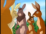 Watership Down : The roundabout picture