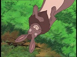 Watership down (TV) picture