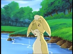 Watership Down : The roundabout picture