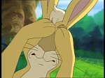 Watership Down : The roundabout picture