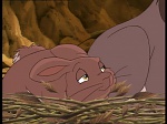 Watership Down : The roundabout picture