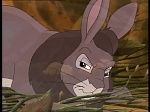 Watership down (TV) picture