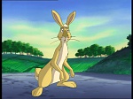 Watership down (TV) picture