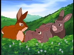 Watership Down : The roundabout picture