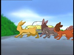 Watership Down : The roundabout picture
