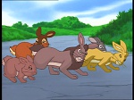 Watership Down : The roundabout picture