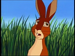 Watership Down : The market picture