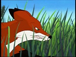Watership Down : The market picture